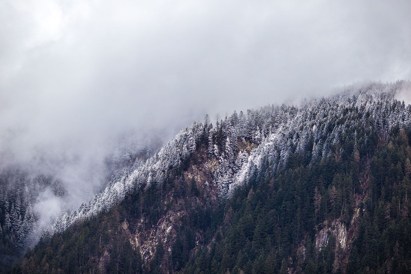 Snow-dusted forested mountainside