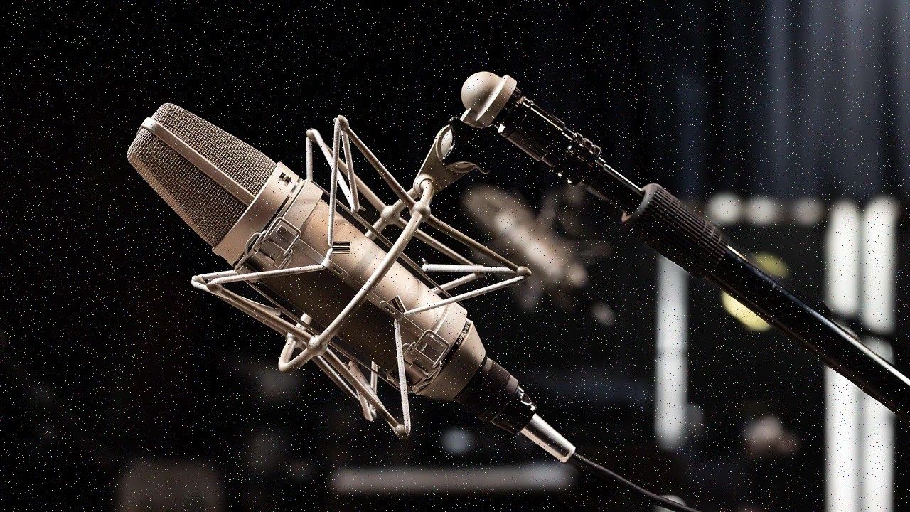 Studio condenser microphone